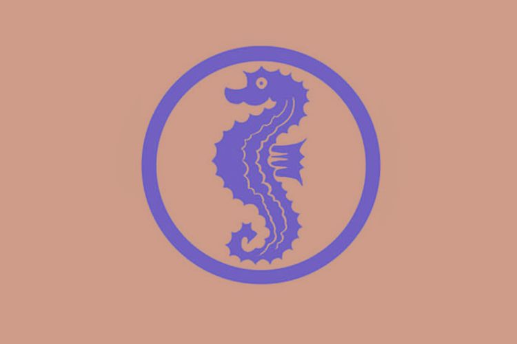 Seepferdchen (Frühschwimmer oder Anfängerschwimmen)